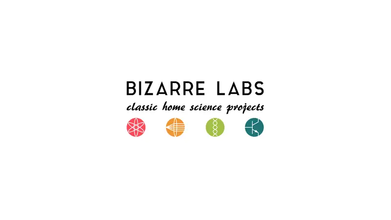 Screenshot of Bizarre Labs