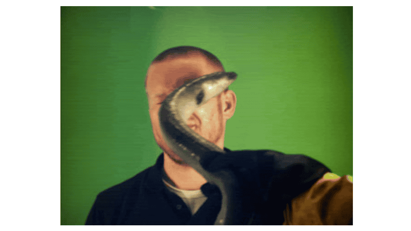 Screenshot of Eel Slap