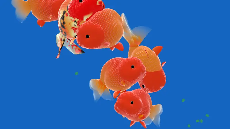 Goldfishies