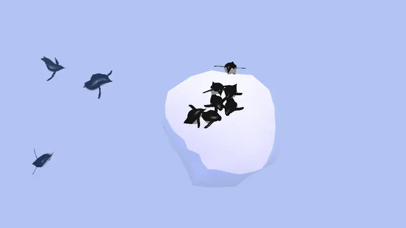Pet Penguins